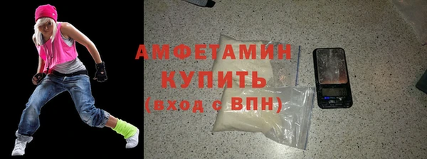 индика Гусиноозёрск