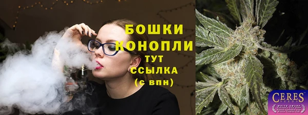 Альфа ПВП Дмитриев