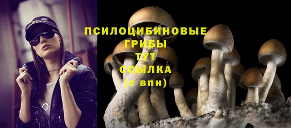 ALPHA-PVP Гусев
