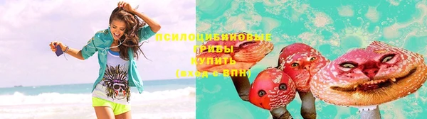 индика Гусиноозёрск