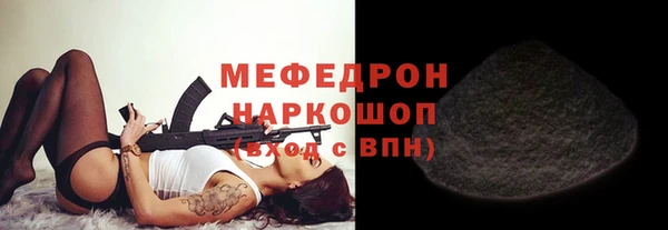 индика Гусиноозёрск