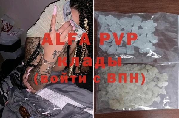шишки Белая Холуница