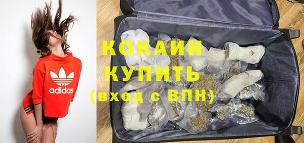 индика Гусиноозёрск