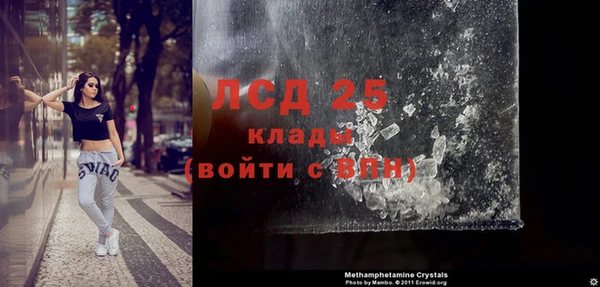 индика Гусиноозёрск