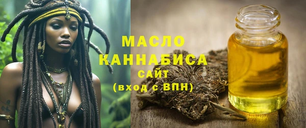 индика Гусиноозёрск