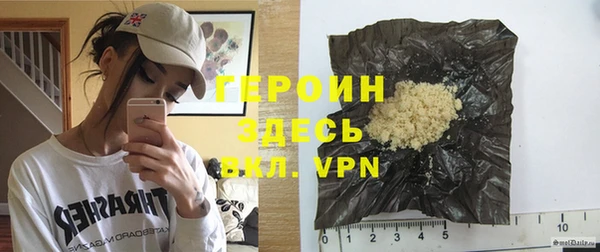 шишки Белая Холуница